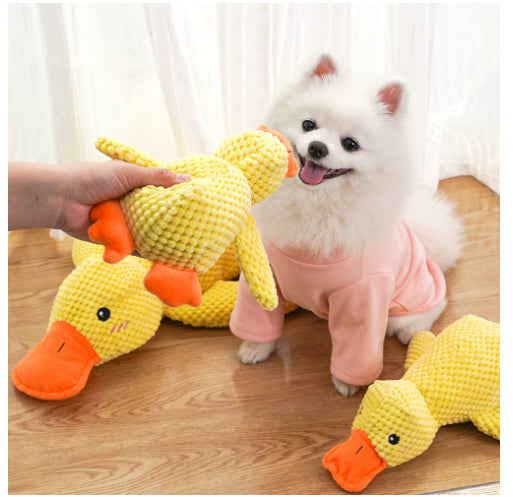 Canard apaisant