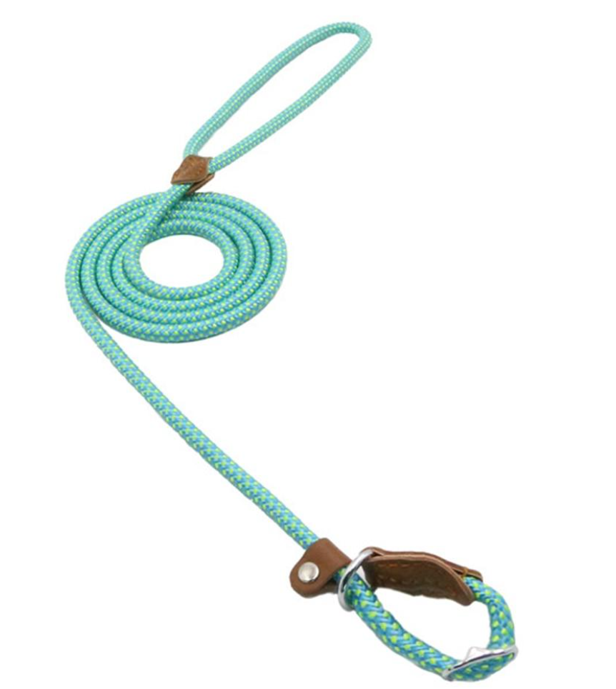 Ensemble Chiot Nylon