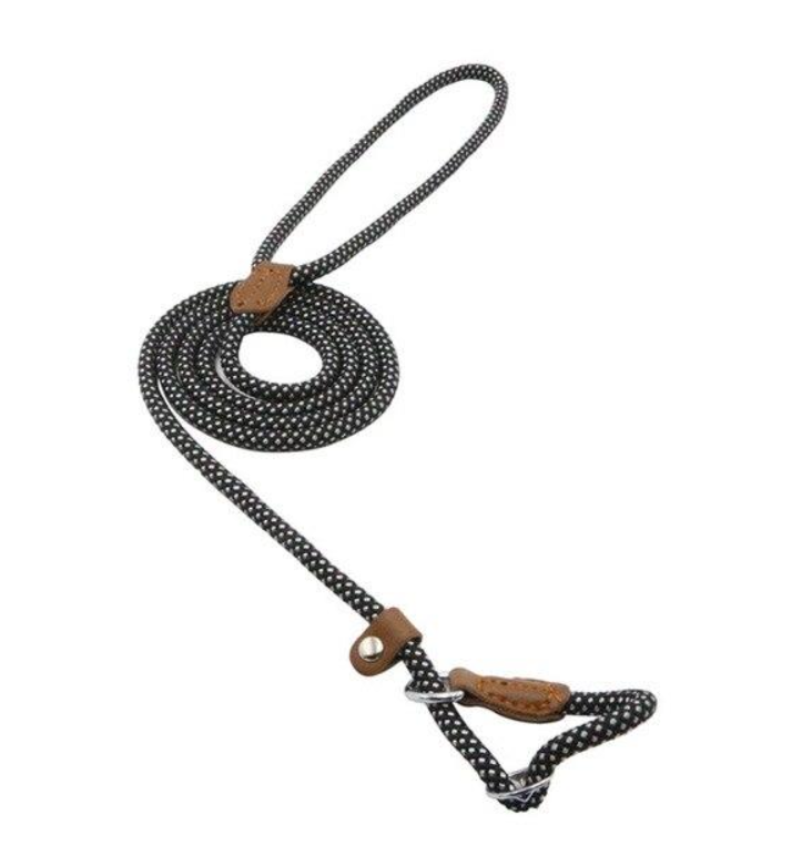 Ensemble Chiot Nylon
