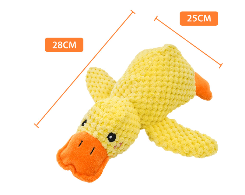 Canard apaisant