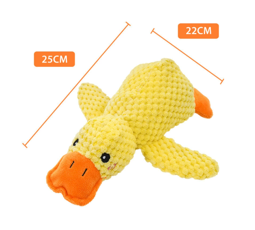Canard apaisant