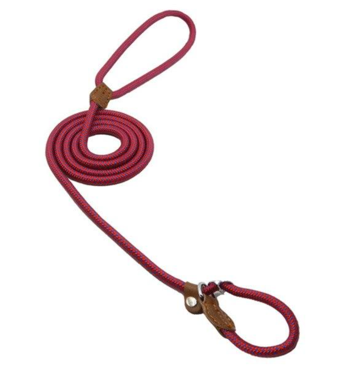Ensemble Chiot Nylon