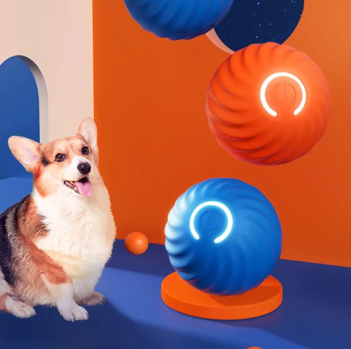 Balles en caoutchouc pour chiens de compagnie