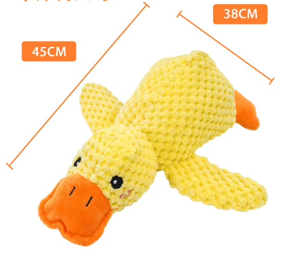 Canard apaisant