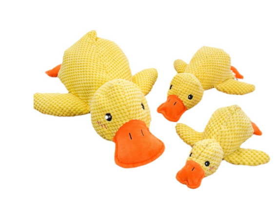 Canard apaisant