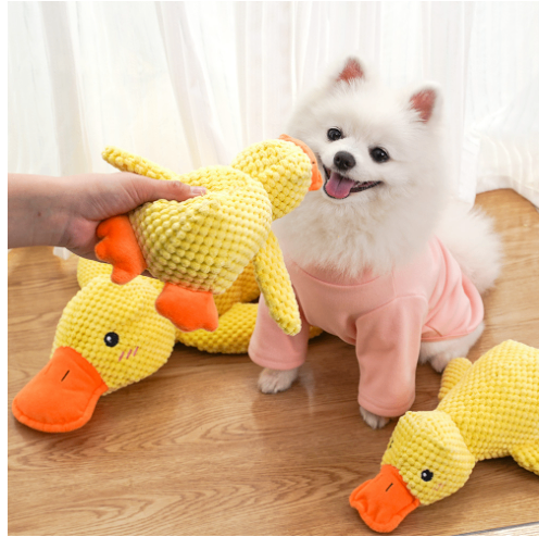 Canard apaisant
