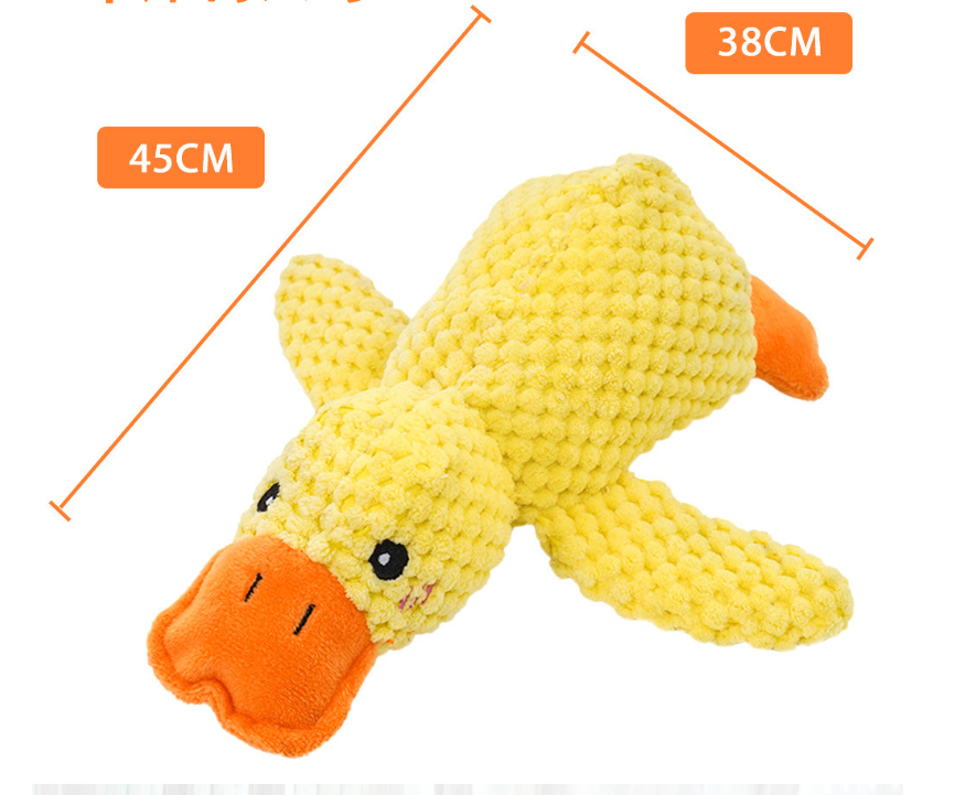 Canard apaisant