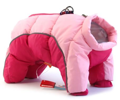 Cozy Canine Winter Apparel