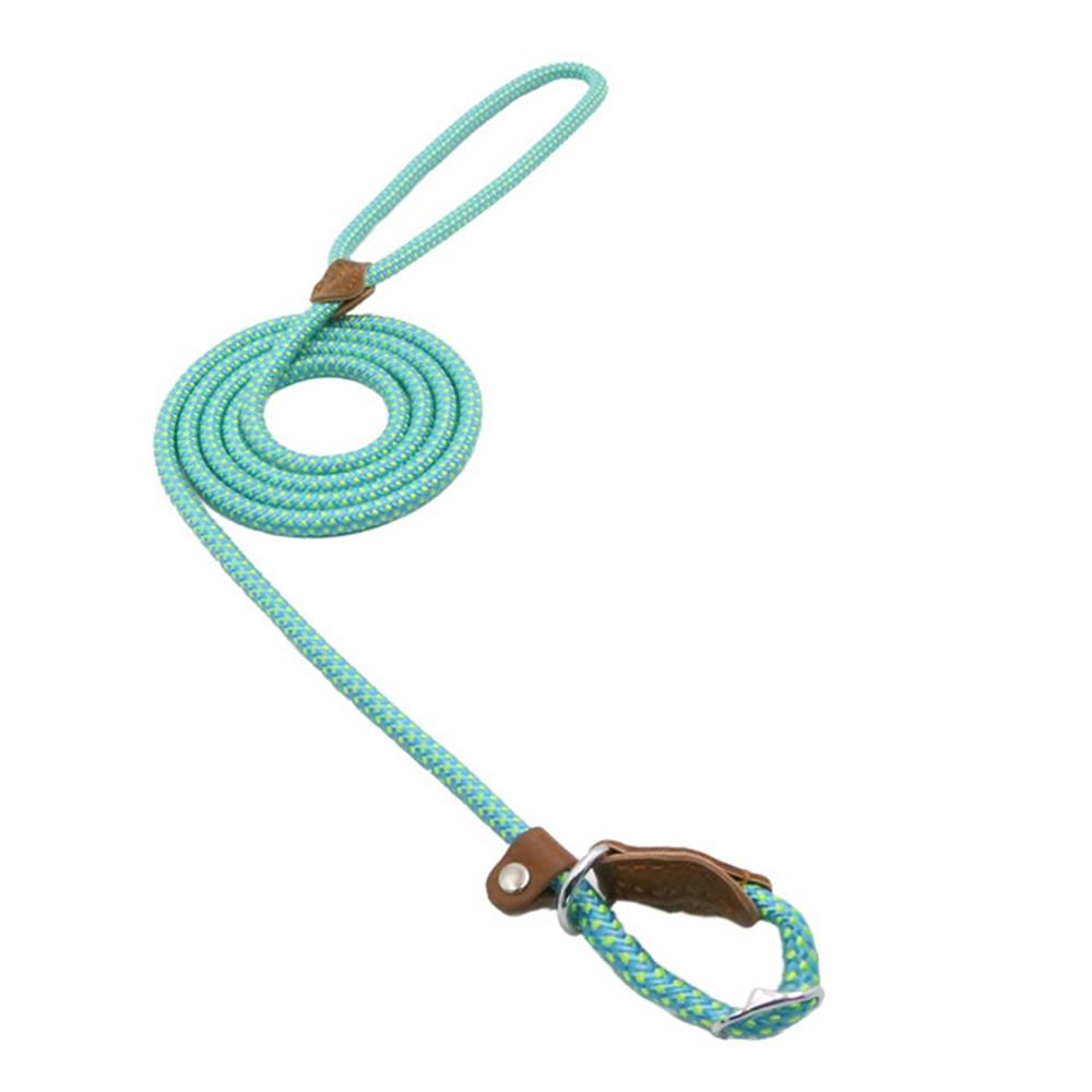 Ensemble Chiot Nylon