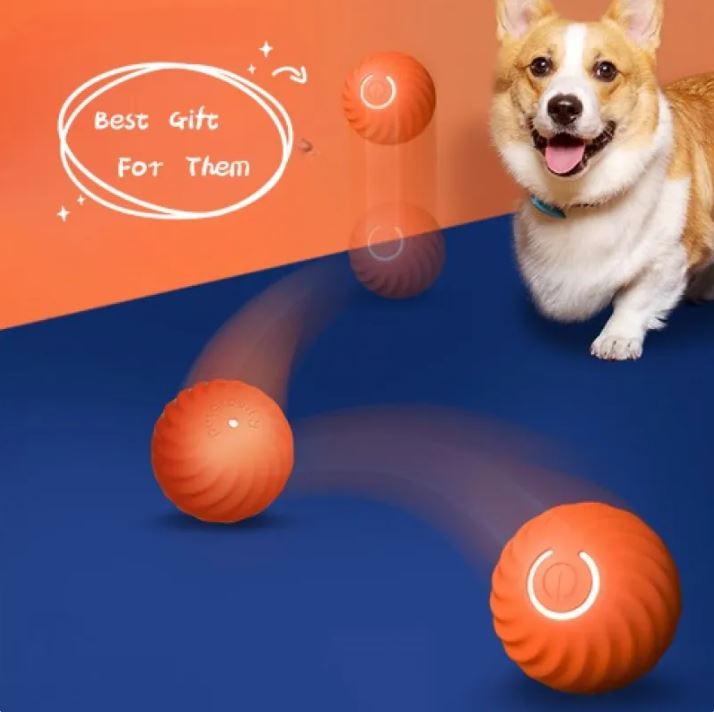 Balles en caoutchouc pour chiens de compagnie
