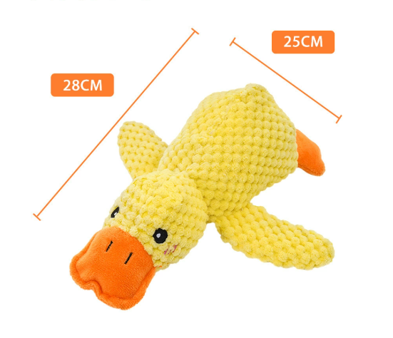 Canard apaisant